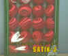 SATIN-J.jpg (13363 bytes)