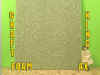 FOAM-AX.jpg (94003 bytes)