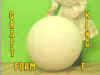 FOAM-F.jpg (55066 bytes)