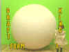 FOAM-L.jpg (59103 bytes)