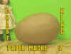PAP-MA-Z.jpg (64507 bytes)